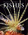 Encyclopedia of Fishes Second Edition