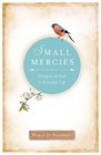 Small Mercies Glimpses of God in Everyday Life