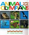 Animal Olympians The Fastest Strongest Toughest and Other Wildlife Champions