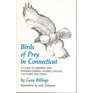 Birds of Prey in Connecticut Guide to Finding and Understanding Hawks Eagles Vultures and Owls