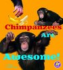 Chimpanzees Are Awesome