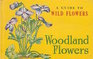 A Guide to Wild Flowers Woodland Flowers