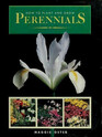How to Plant and Grow Perennials