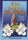 From Sheep to St David 200 Things You Should Know About Wales and the Welsh