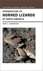 Introduction to Horned Lizards of North America (California Natural History Guides)