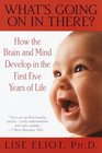 What's Going on in There  How the Brain and Mind Develop in the First Five Years of Life