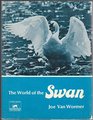 The world of the swan