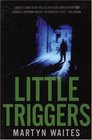 Little Triggers a novel of crime
