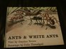 Vevers Ants and White Ants