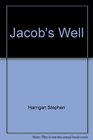 Jacob's well A novel