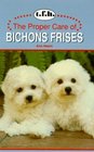 Proper Care of Bichon Frise