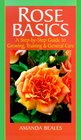 Rose Basics A StepByStep Guide to Growing Training  General Care