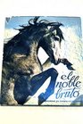 El noble bruto Homenaje al caballo espanol