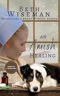 An Amish Healing  Includes Amish Recipes and Reading Group Guide