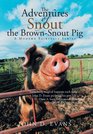 The Adventures of Snout the BrownSnout Pig A Modern Fairytale Series
