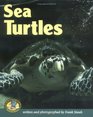 Sea Turtles (Early Bird Nature Books)