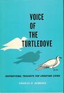Voice of the turtledove