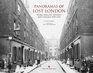 Panoramas of Lost London Work Wealth Poverty  Change 18701945 An English Heritage Book
