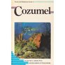 Diving and Snorkeling Guide to Cozumel