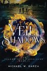 A Veil of Shadows The Shadow Gate Chronicles Book II