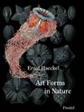 Art Forms in Nature Mini