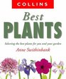 Collins Best Plants