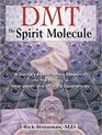 DMT The Spirit Molecule A Doctor's Revolutionary Research Into the Biology of NearDeath and Mystical Experiences