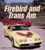 Firebird and Trans Am