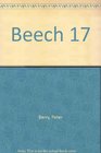 Beech 17