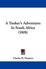A Yankee's Adventures In South Africa