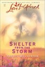 Shelter from the Storm (Everyday Heroes, Bk 2) (Love Inspired, No 198)