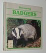 Discovering Badgers