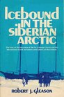 Icebound in the Siberian Arctic