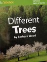 Explore On Your Own Different Trees