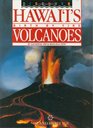 Discover Hawai'i's Birth by Fire Volcanoes