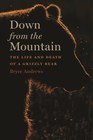 Down from the Mountain The Life and Death of a Grizzly Bear