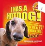 I Has a Hotdog by Professor Happycat