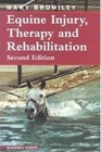 Equine Injury  Therapy