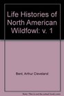 Life Histories of North American Wild Fowl Part One