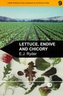 Lettuce Endive and Chicory