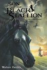 Son of the Black Stallion (Black Stallion, Bk 3)