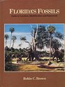 Florida's Fossils: Guide to Location, Identification and Enjoyment