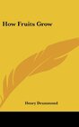 How Fruits Grow