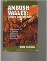 Ambush Valley I Corps Vietnam 1967 the Story of a Marine Infantry Battalion's Battle for Survival