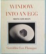 Window into an Egg Seeing Life Begin