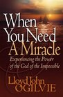 When You Need a Miracle Experiencing the Power of the God of the Impossible