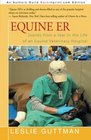 Equine ER Stories from a Year in the Life of an Equine Veterinary Hospital