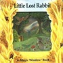 Little Lost Rabbit (Magic Window)