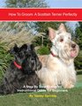 How to Groom A Scottish Terrier Perfectly An Illustrated Instructional Guide for Beginners