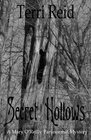Secret Hollows A Mary O'Reilly Paranormal Mystery  Book Seven